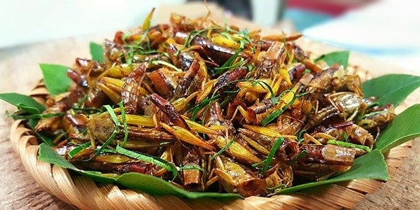 Tiêu dùng & Dư luận - Nông dân thu tiền triệu nhờ đặc sản 'tôm bay', dân thành phố lùng mua cũng không có