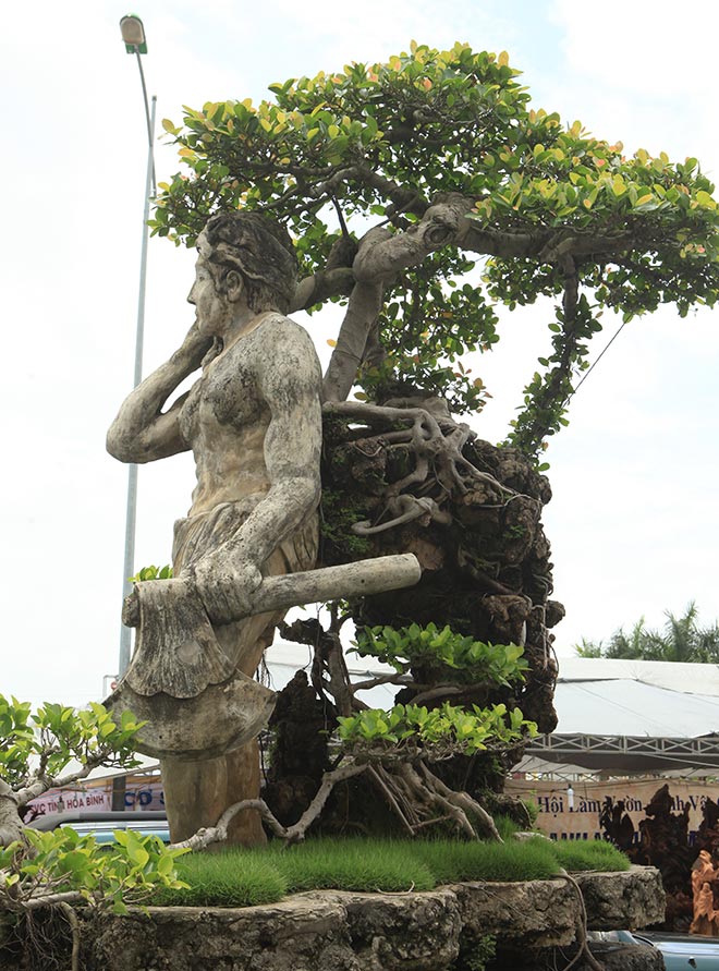 Tiêu dùng & Dư luận - Chiêm ngưỡng cây 'Thạch Sanh' đẹp lạ được chuyển nhượng hơn 4 tỷ (Hình 3).