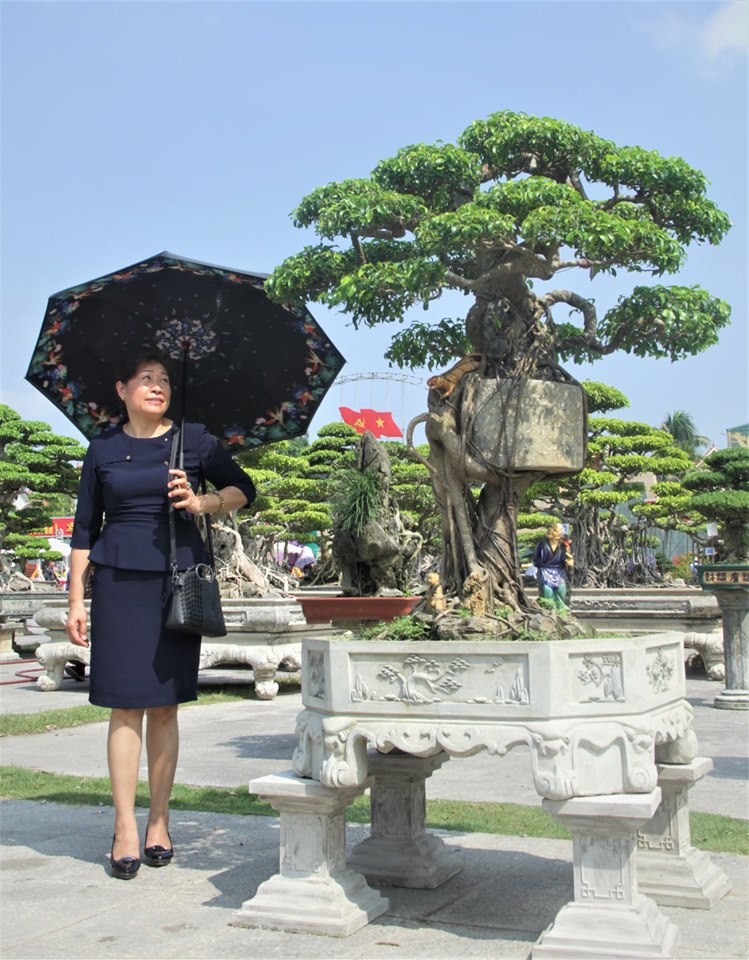 Tiêu dùng & Dư luận - Cây cảnh 'Chuyện tình cây và cối' thế độc lạ thu hút nhiều người xem