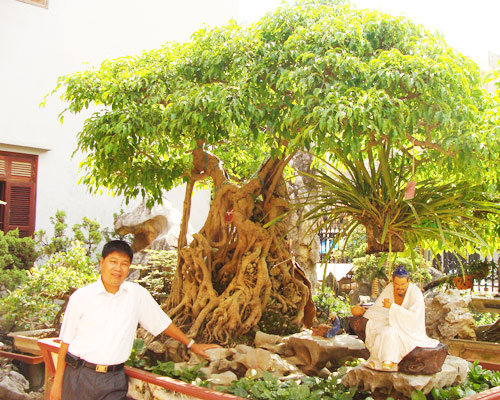 Tiêu dùng & Dư luận - Hoa mắt với cây cảnh 'báu vật' của những đại gia Việt (Hình 3).