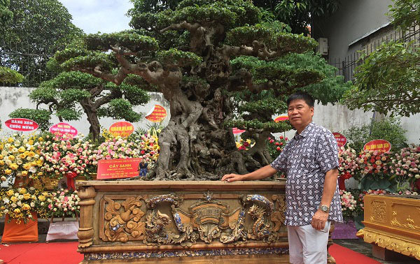 Tiêu dùng & Dư luận - Hoa mắt với cây cảnh 'báu vật' của những đại gia Việt (Hình 2).
