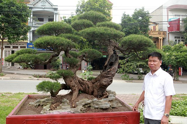 Tiêu dùng & Dư luận - Cận cảnh 'lão' phi lao hình chữ Nhẫn giá bạc tỷ khiến ai cũng mê (Hình 2).