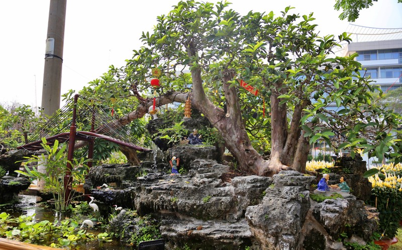 Tiêu dùng & Dư luận - Những màn sang tay ổi bonsai dáng 'kỳ quái' khiến đại gia chơi cây cảnh mê mẩn (Hình 3).