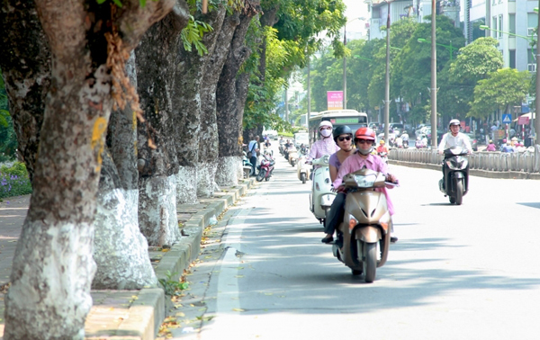 Xã hội - Dự báo thời tiết 10/7/2021: Hà Nội đêm và sáng có mưa rào, ngày nắng