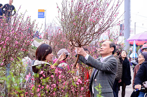 Đời sống - Giữ hoa đào tươi lâu, nở đẹp ngày Tết thì không nên bỏ qua mẹo hay này (Hình 2).