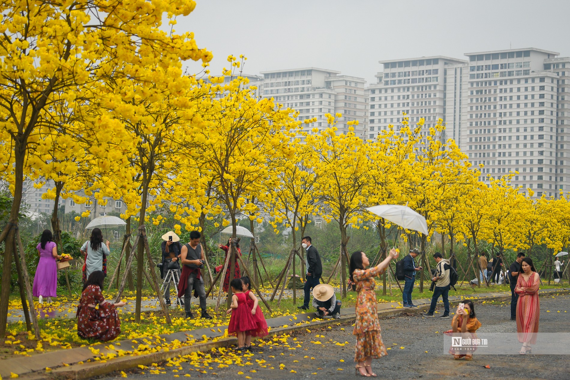 Xã hội - Dự báo thời tiết ngày 21/3/2022: Miền Bắc tăng nhiệt mạnh trước khi đón không khí lạnh