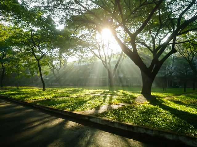 Xã hội - Dự báo thời tiết ngày 8/7/2022: Miền Bắc có thể mưa dông diện rộng