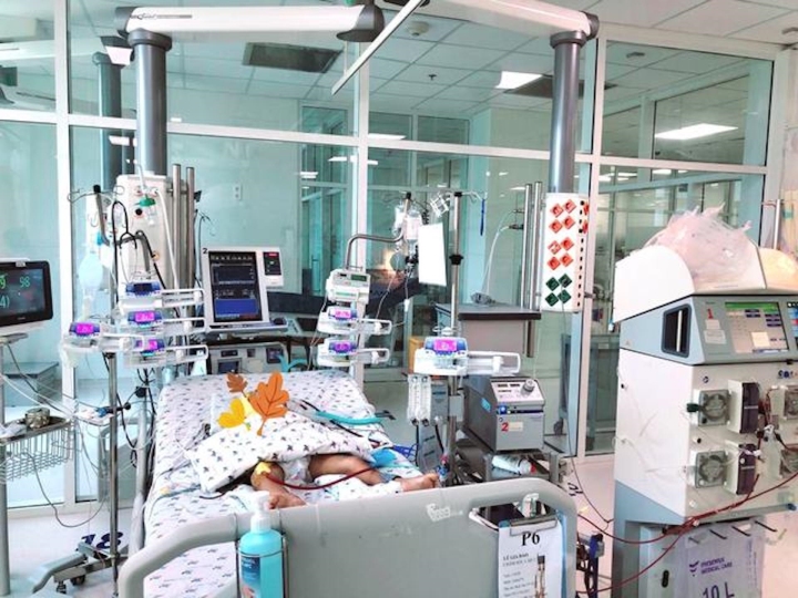 Sức khỏe - Vô tình bị ong đốt 15 vết, bé 5 tuổi phải chạy ECMO, lọc máu liên tục