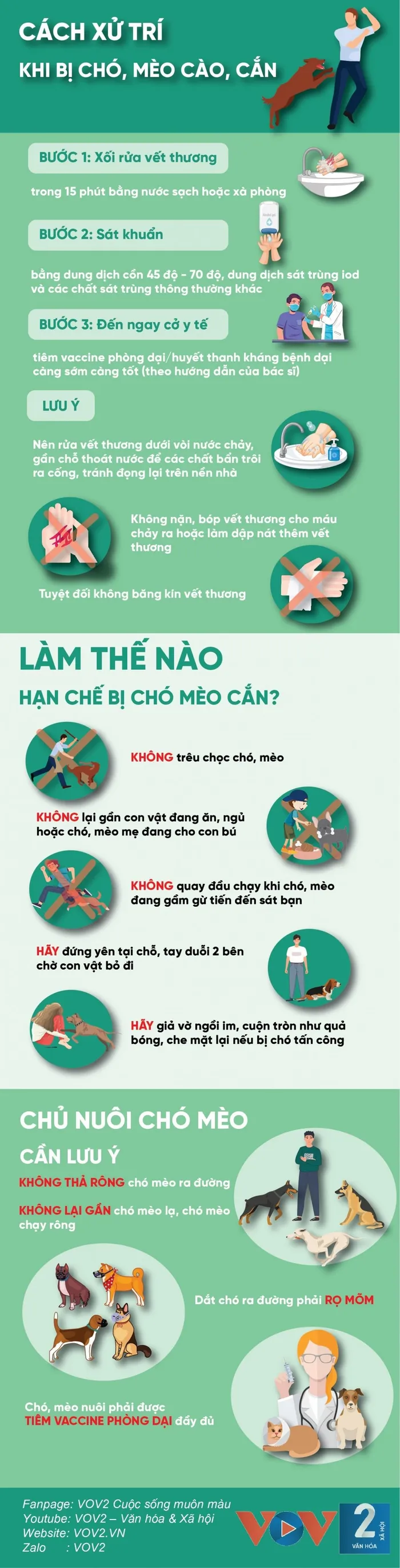 Sức khỏe - Cách xử trí khi bị chó, mèo cào, cắn