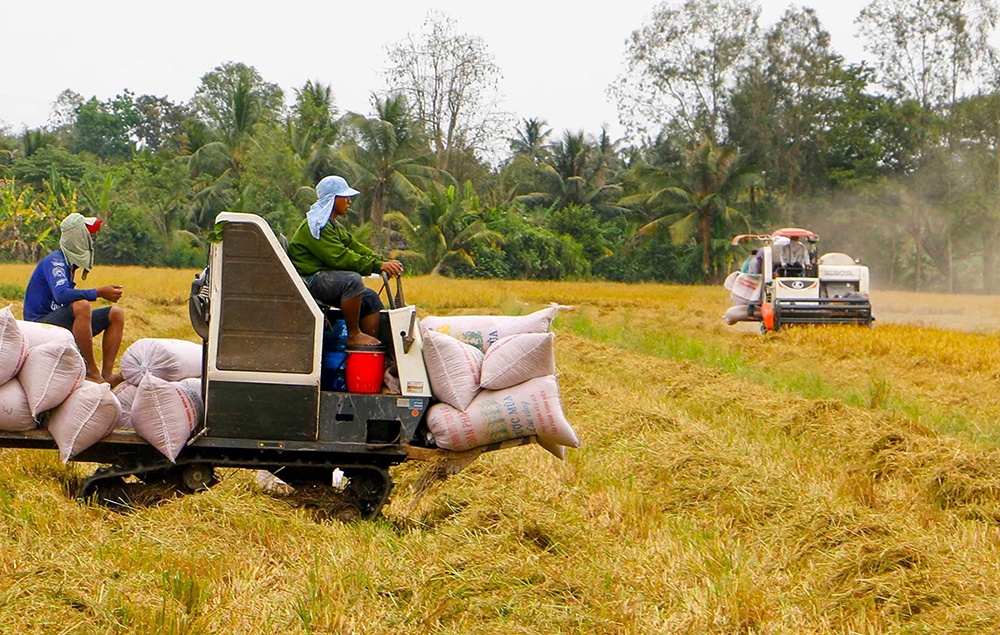 Kinh tế vĩ mô - Xuất khẩu gạo đang rất “sáng”, năm nay có thể đạt trên 7,5 triệu tấn