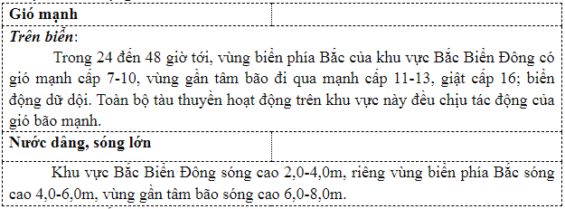 Xã hội - Tin mới nhất về cơn bão số 4 (Hình 2).