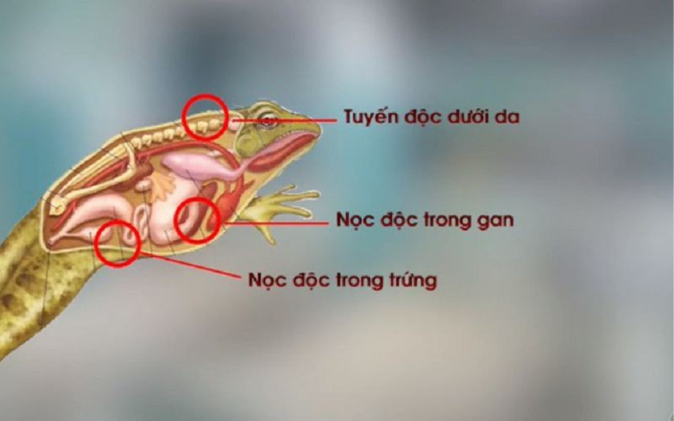 Xã hội - Bản tin 13/10: Học phí các trường đại học top đầu năm học 2023 - 2024 (Hình 3).