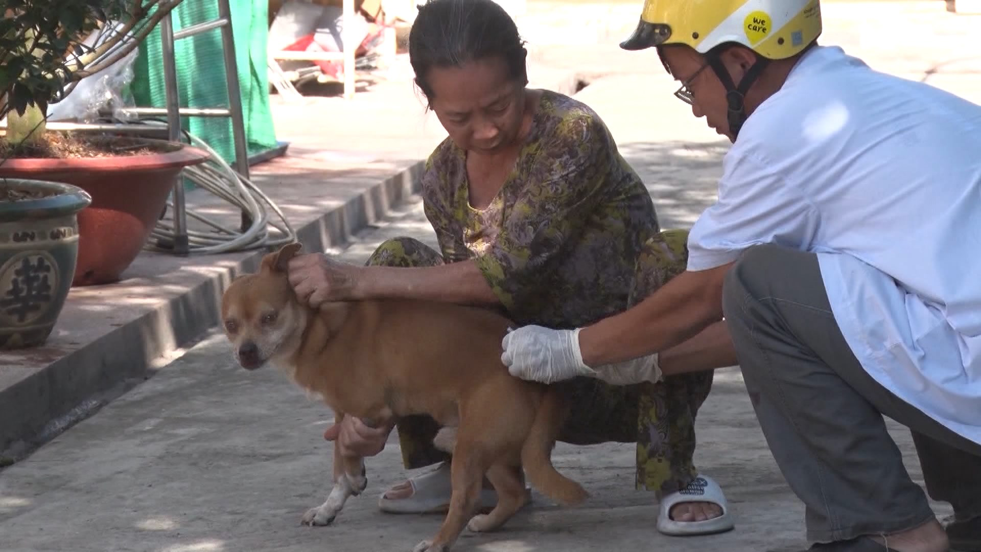 Xã hội - Bản tin 8/11: Việt Nam có thêm 12 nữ Giáo sư (Hình 4).