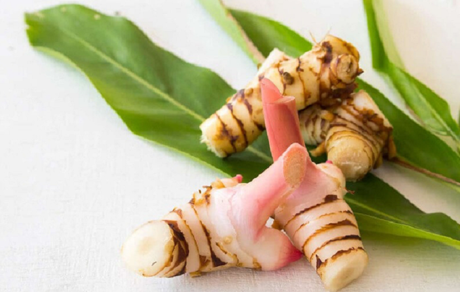 Đời sống - Loại củ 'hiếm có khó tìm' trên thế giới, chống cả ung thư, Việt Nam trồng đầy vườn