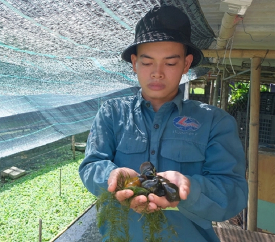 Đời sống - Anh nông dân nuôi con vật tưởng 'vô bổ', ai ngờ nhẹ nhàng bỏ túi 150 triệu