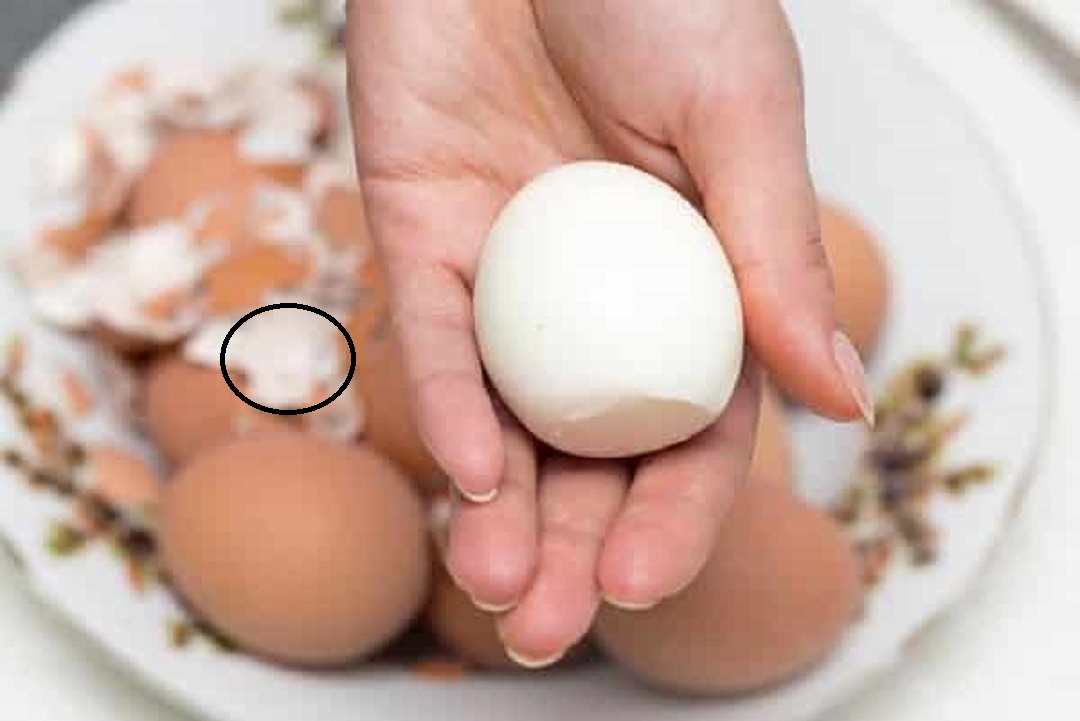 Luộc trứng nhớ cho thêm thứ này, vừa ngon lại tự róc vỏ như ở nhà hàng - Ảnh 3.