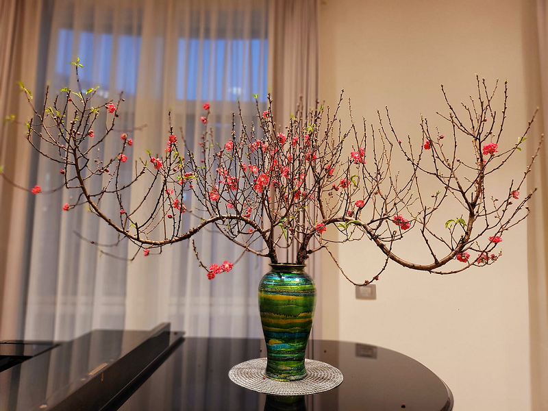 Đời sống - Chỉ cần thêm thứ này vào bình, lọ hoa nhà bạn sẽ tươi rói cả tuần Tết