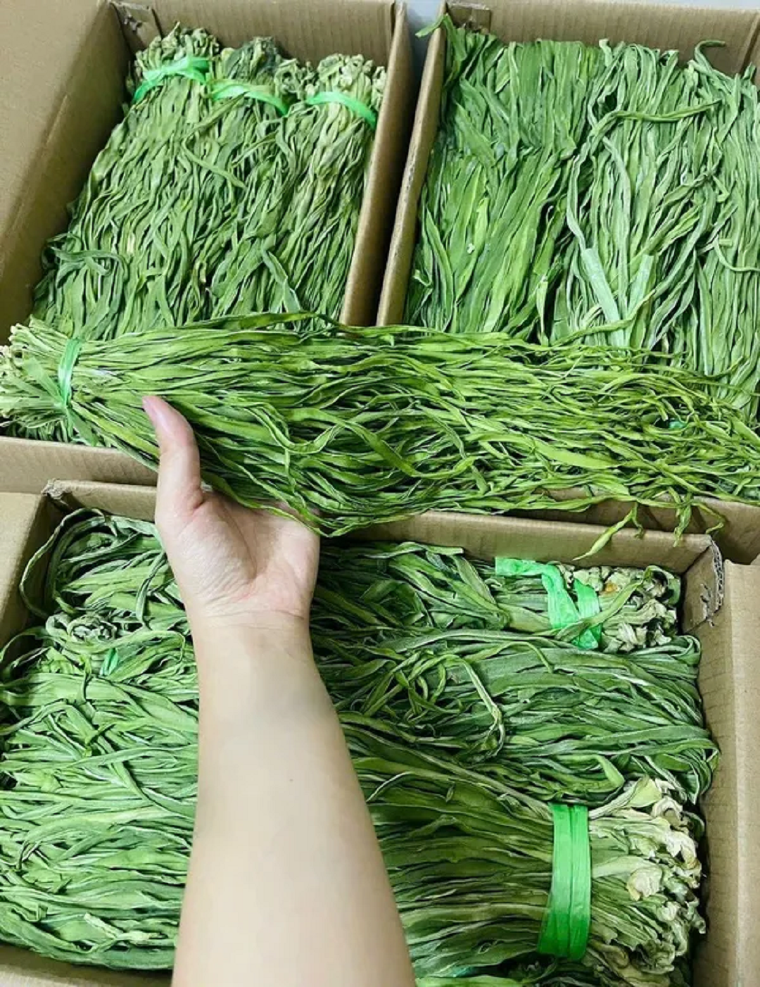 Đời sống - Loại rau trông như 'nắm cỏ',  xưa rẻ bèo nay lên tầm đặc sản, giá 500 nghìn đồng/kg