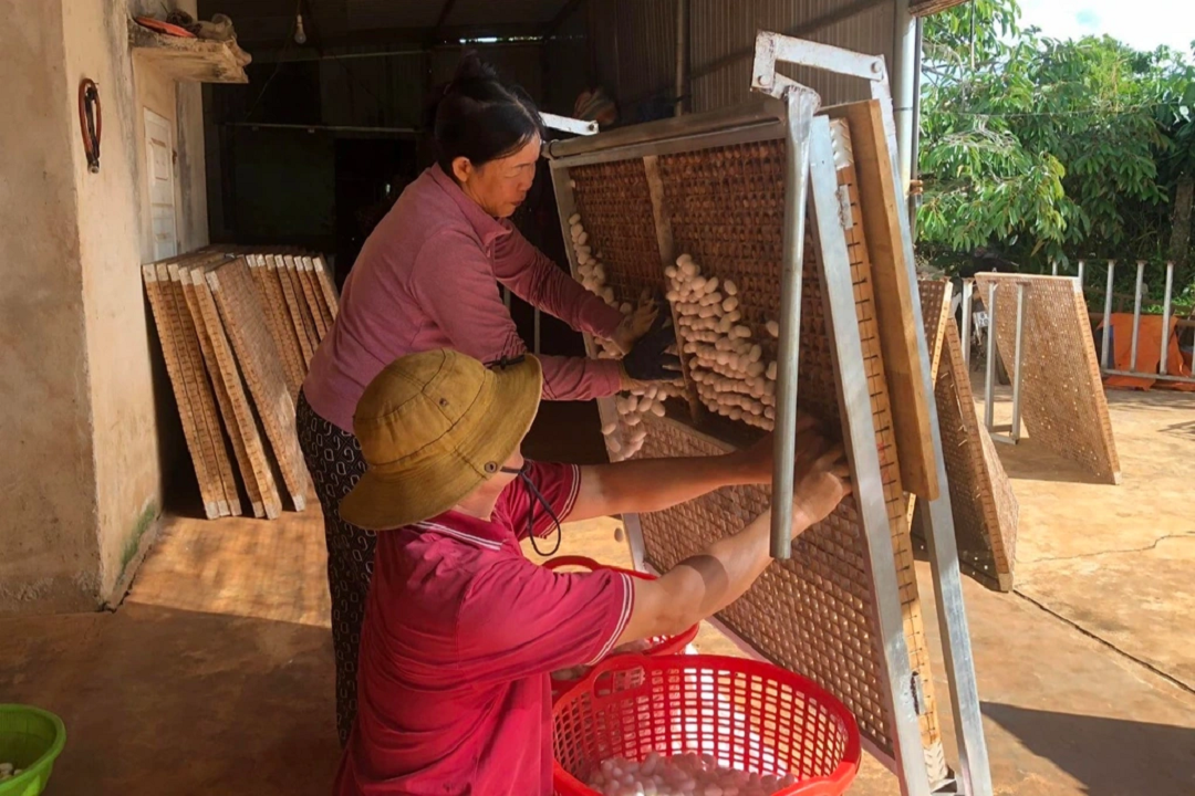 Đời sống - Anh nông dân nuôi con 'ăn no lại nằm', nào ngờ thu 1 tỷ đồng mỗi năm (Hình 3).