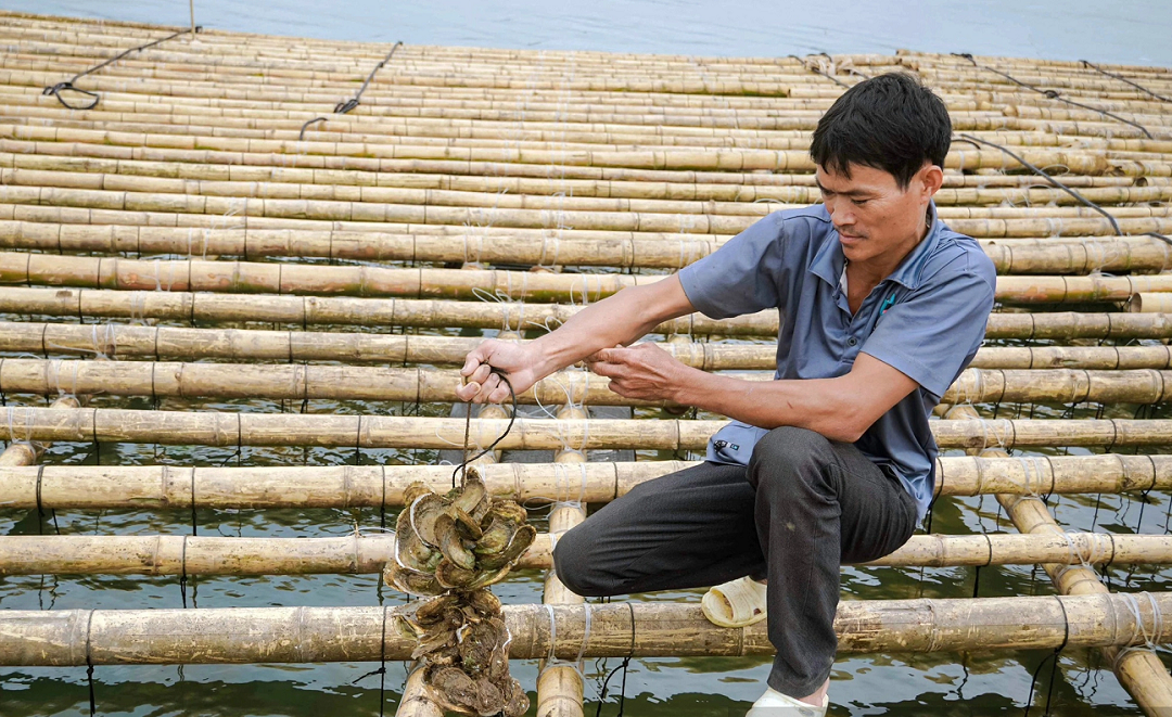 Đời sống - Anh nông dân nắm tiền tỷ trong tay nhờ nuôi con quen thuộc được coi là 'thần dược'