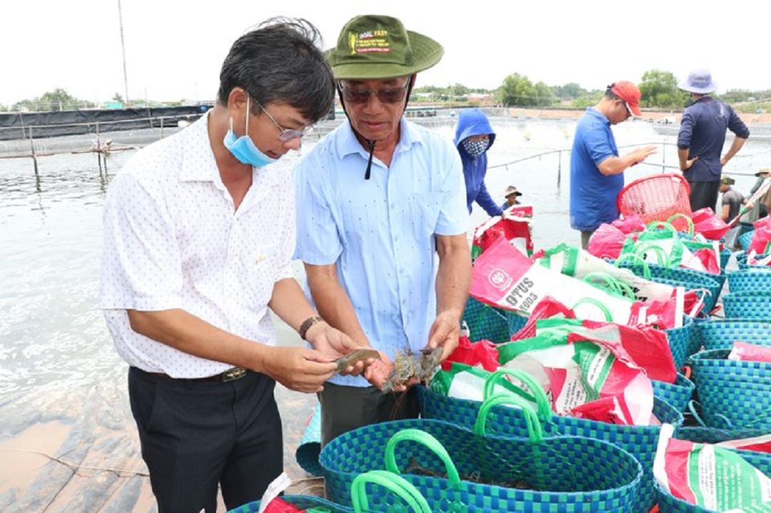 Đời sống - Anh nông dân 'bỏ túi' 50 tỷ đồng nhờ nuôi con đặc sản 'thích nước' (Hình 3).