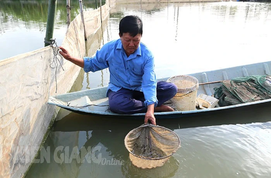 Đời sống - Anh nông dân đút túi 1 tỷ/năm nhờ nuôi con vật quen thuộc 'thích nước'