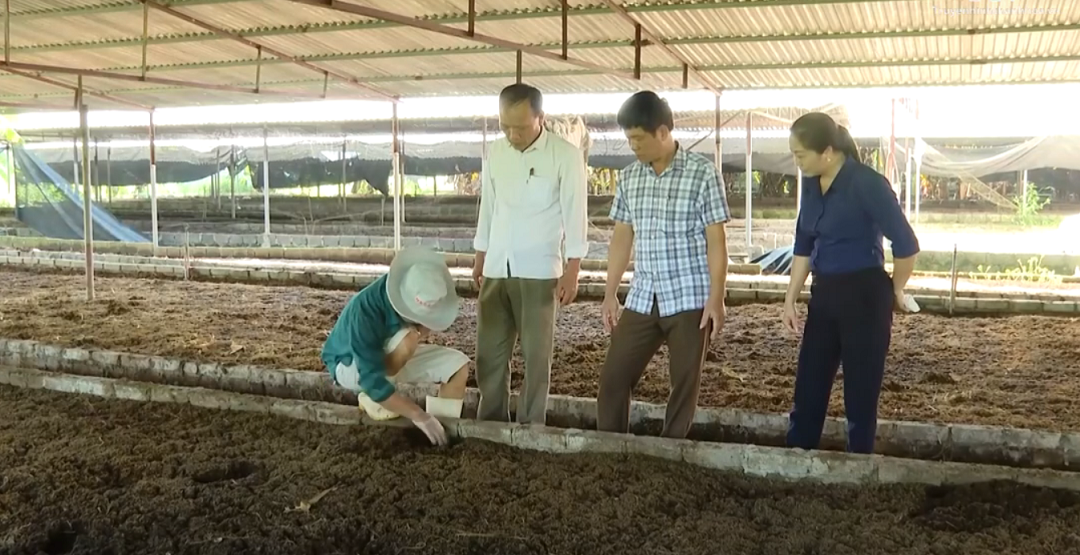 Đời sống - Anh nông dân nhẹ nhàng bỏ túi 2 tỷ nhờ nuôi con vật 'hiền khô như đất' (Hình 2).