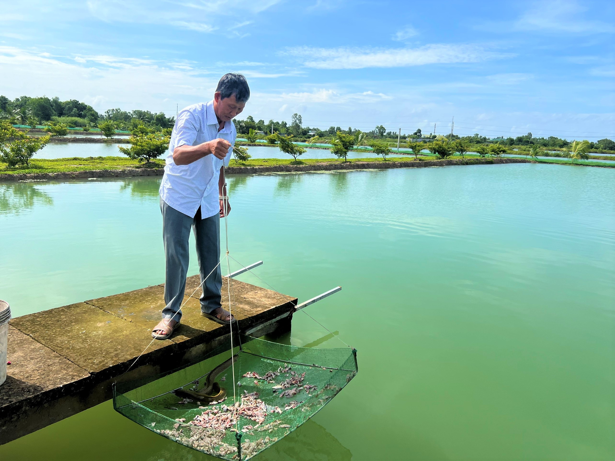 Đời sống - Anh nông dân nhẹ nhàng bỏ túi 1,5 tỷ đồng nhờ nuôi con trơn tuột 'hiền khô như đất'