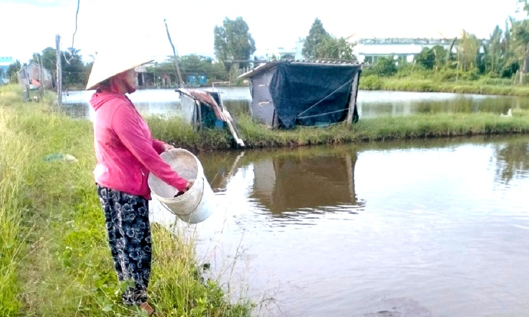 Đời sống - Chị nông dân nhẹ nhàng lãi 500 triệu nhờ nuôi thứ “hiền lành, mắn đẻ”