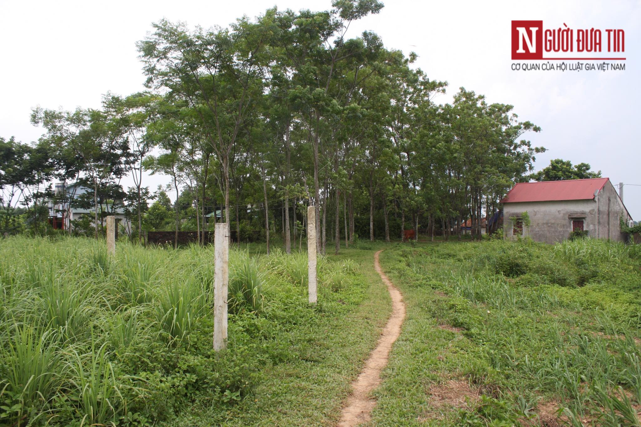 An ninh - H&igrave;nh sự - Nghi &aacute;n 2 chị em ruột bị hiếp d&acirc;m: C&aacute;c nạn nh&acirc;n giờ ra sao?