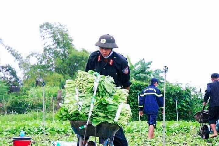 Dân sinh - Những chuyến xe nghĩa tình từ  Đắk Lắk hướng về tâm dịch (Hình 3).