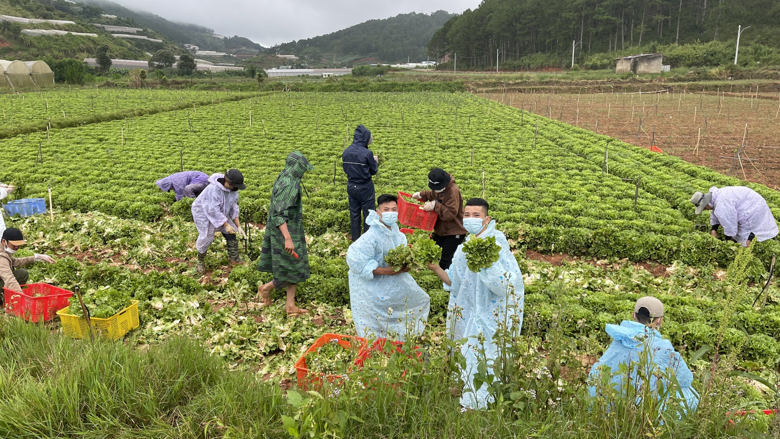 Dân sinh - Chàng trai thiện nguyện và hành động “chôm“ đồ tặng chị lao công (Hình 7).