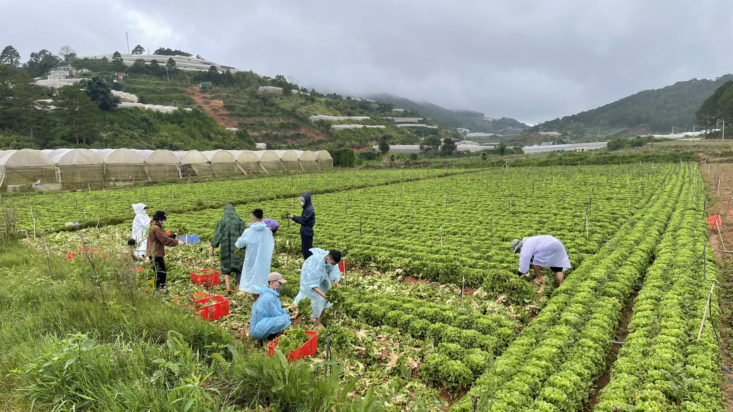 Dân sinh - Chàng trai thiện nguyện và hành động “chôm“ đồ tặng chị lao công (Hình 6).