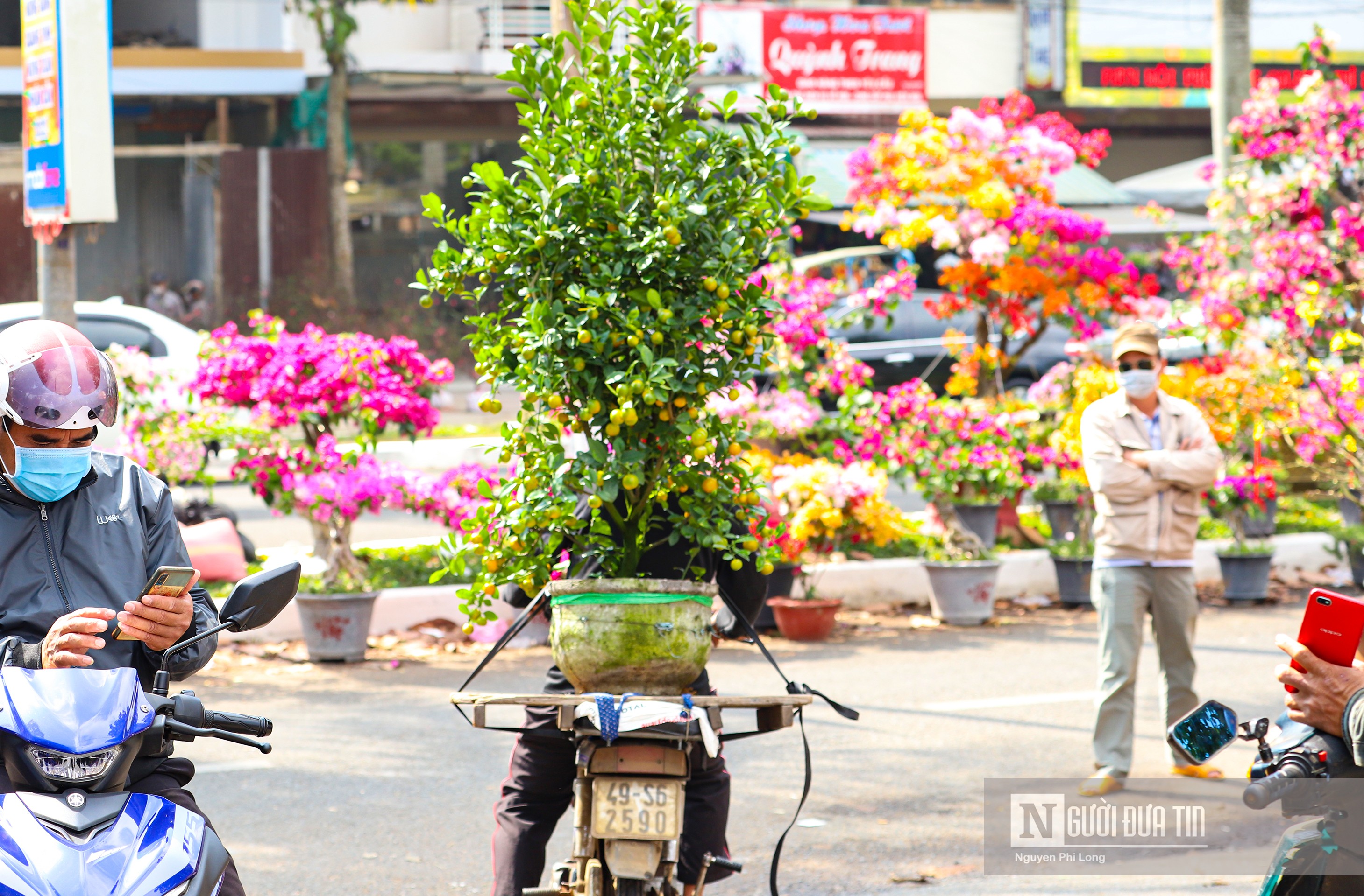 Dân sinh - Nhộn nhịp dịch vụ ”chở mùa xuân” về nhà