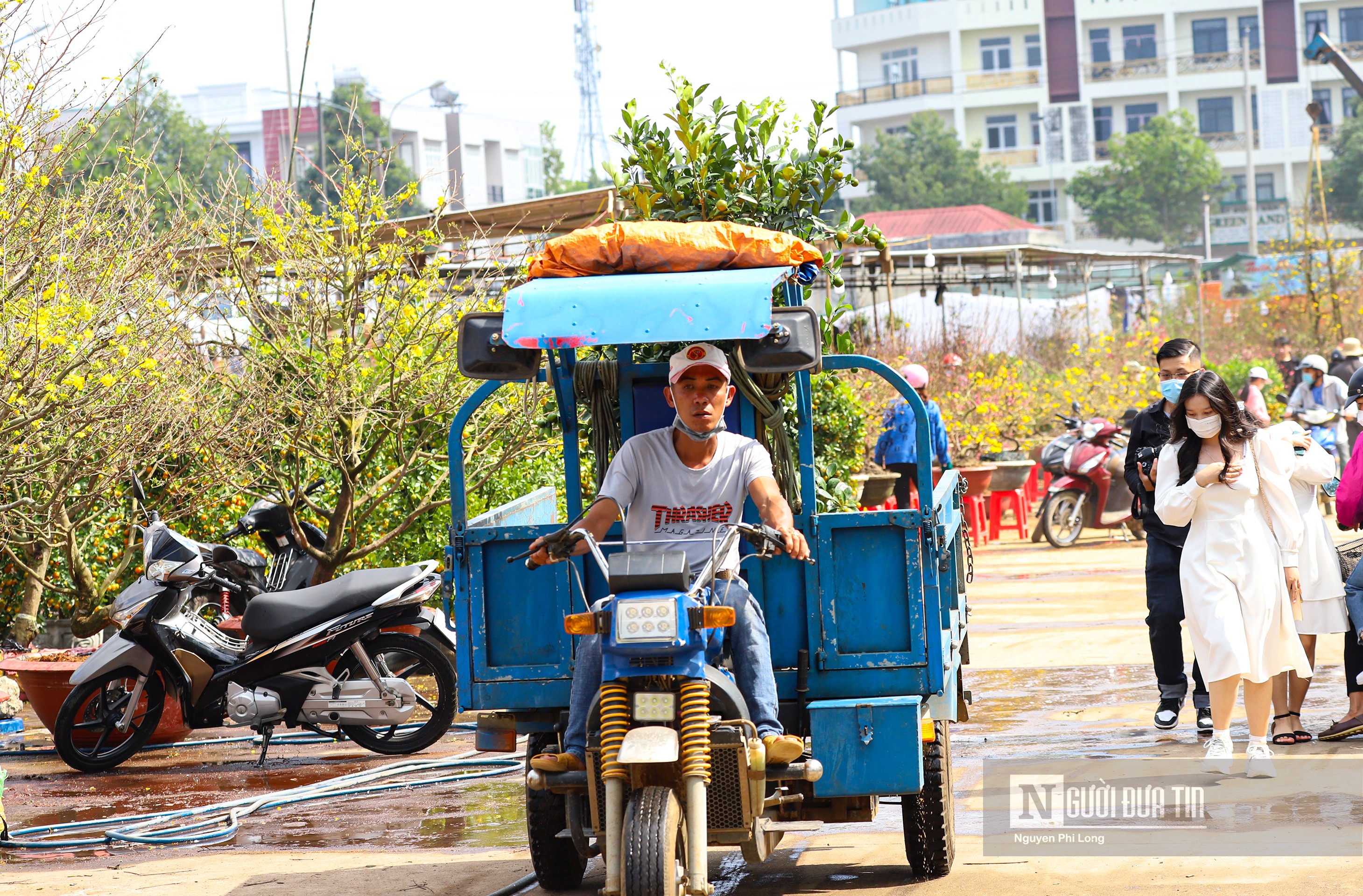 Dân sinh - Nhộn nhịp dịch vụ ”chở mùa xuân” về nhà (Hình 4).