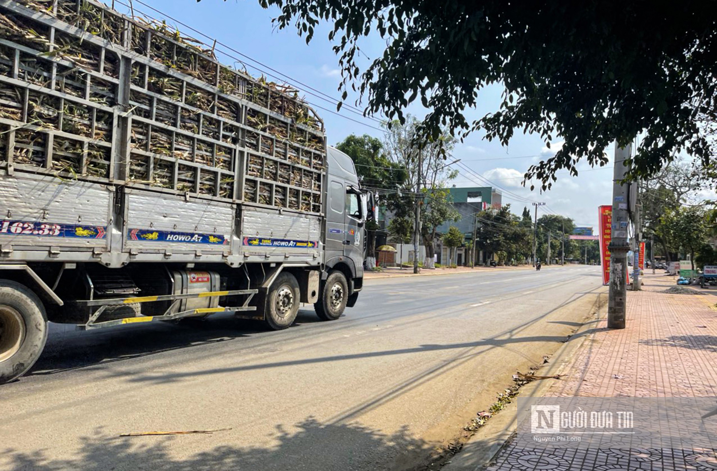 Dân sinh - Gia Lai: Xe tải chở mía gây mất an toàn giao thông (Hình 9).