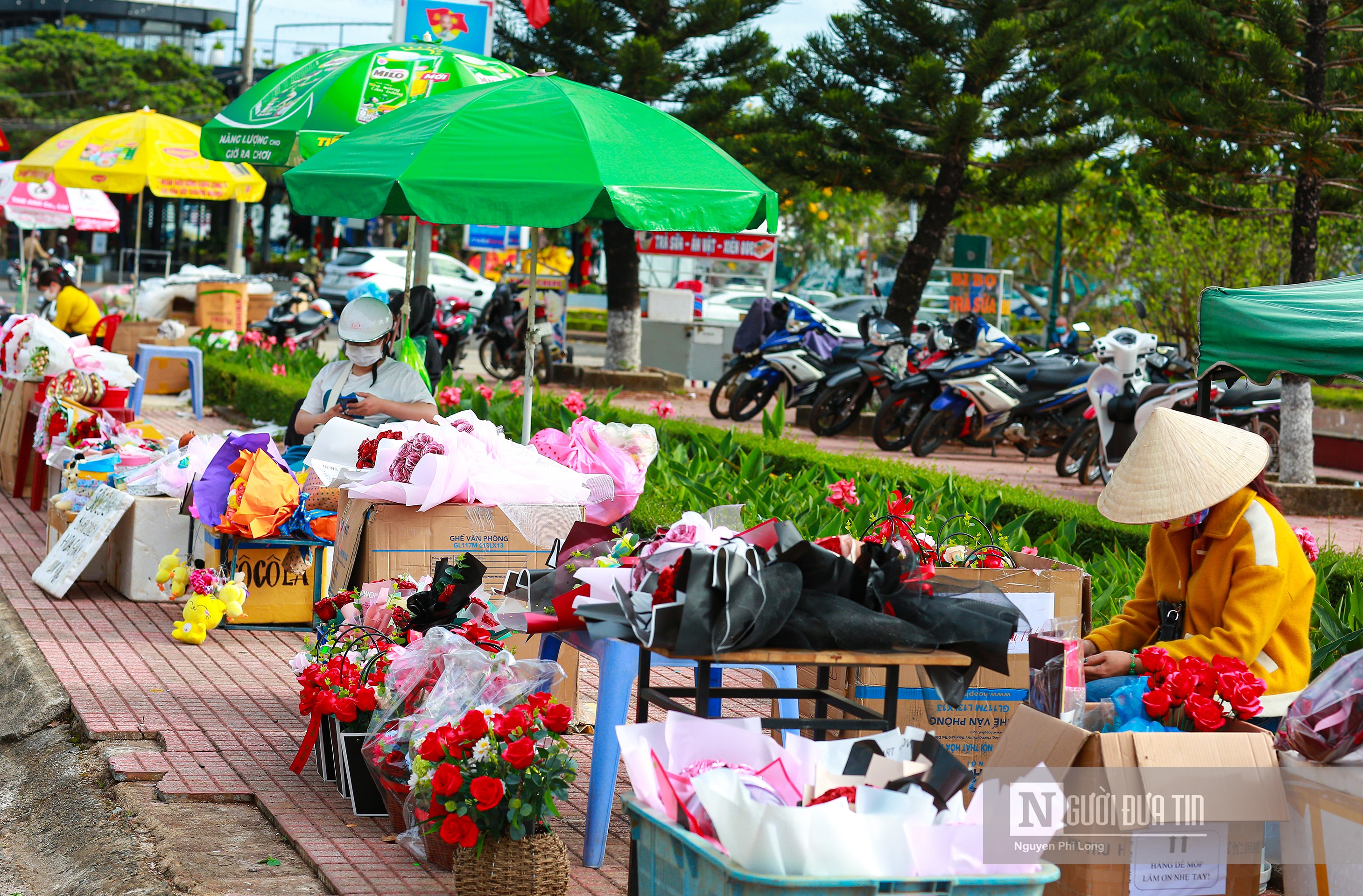 Dân sinh - Lâm Đồng: Những con phố rực rỡ sắc màu trong ngày Lễ tình nhân (Hình 9).