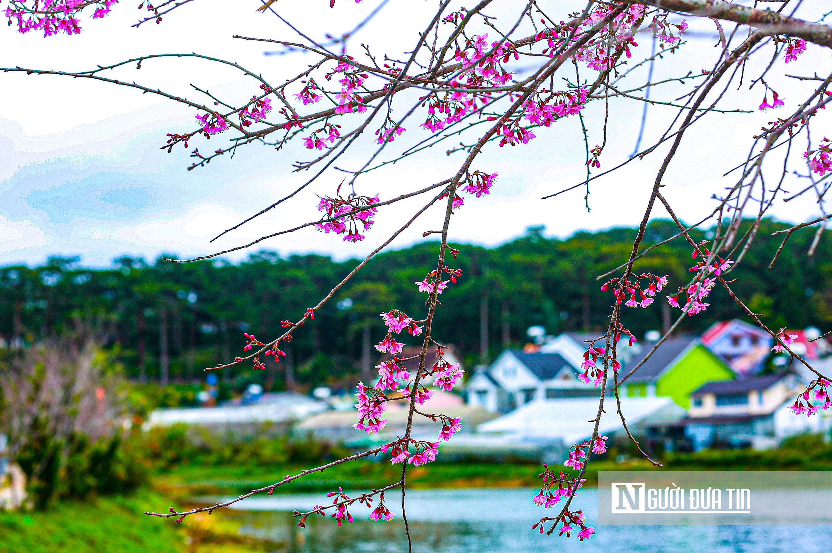 An ninh - Hình sự - Lâm Đồng: Cảnh báo thủ đoạn lừa đảo đặt phòng khách sạn dịp lễ 30/4, 1/5 (Hình 4).