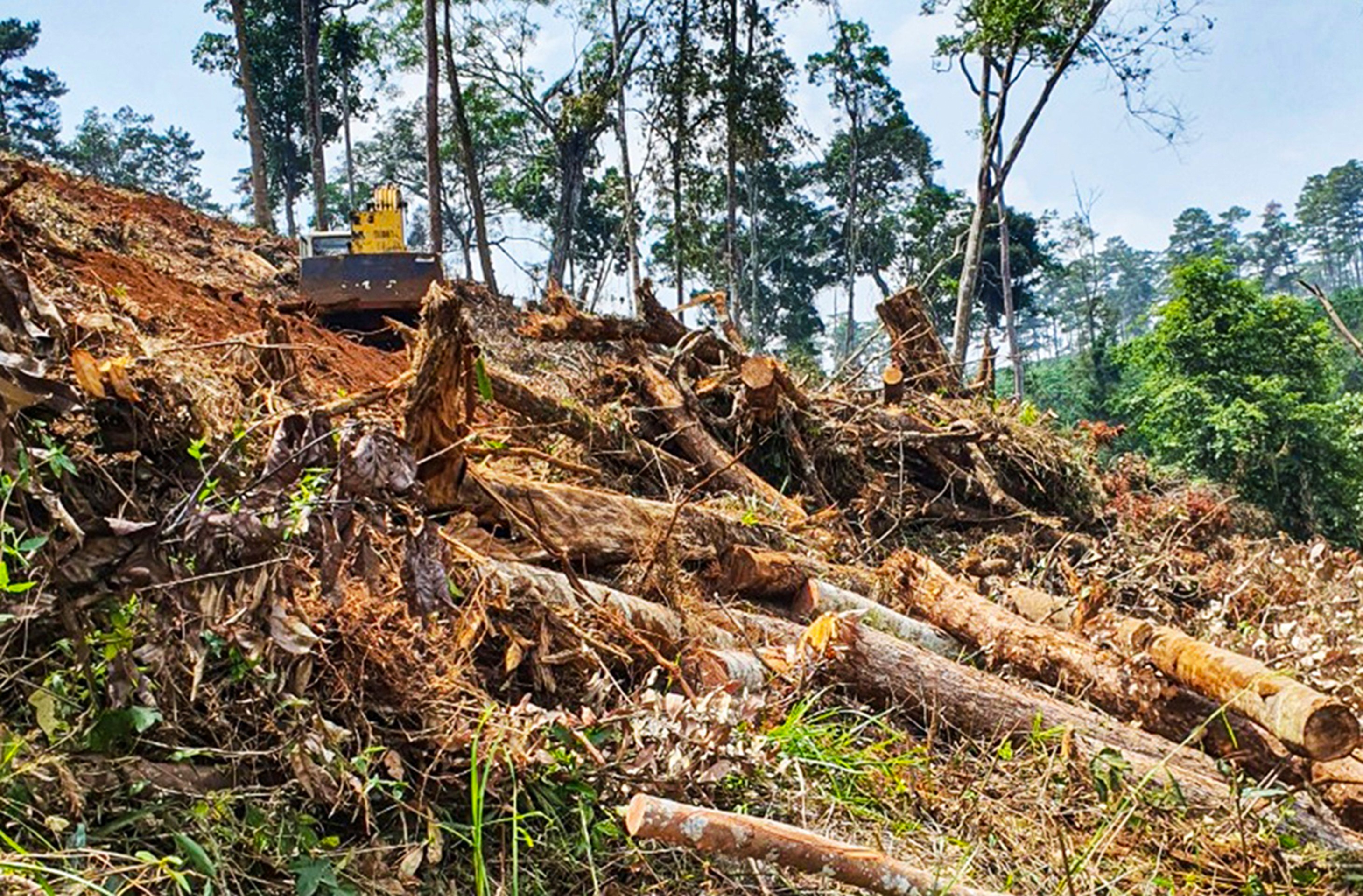 Bất động sản - Lâm Đồng:  Lý do thu hồi hơn 104ha đất của doanh nghiệp