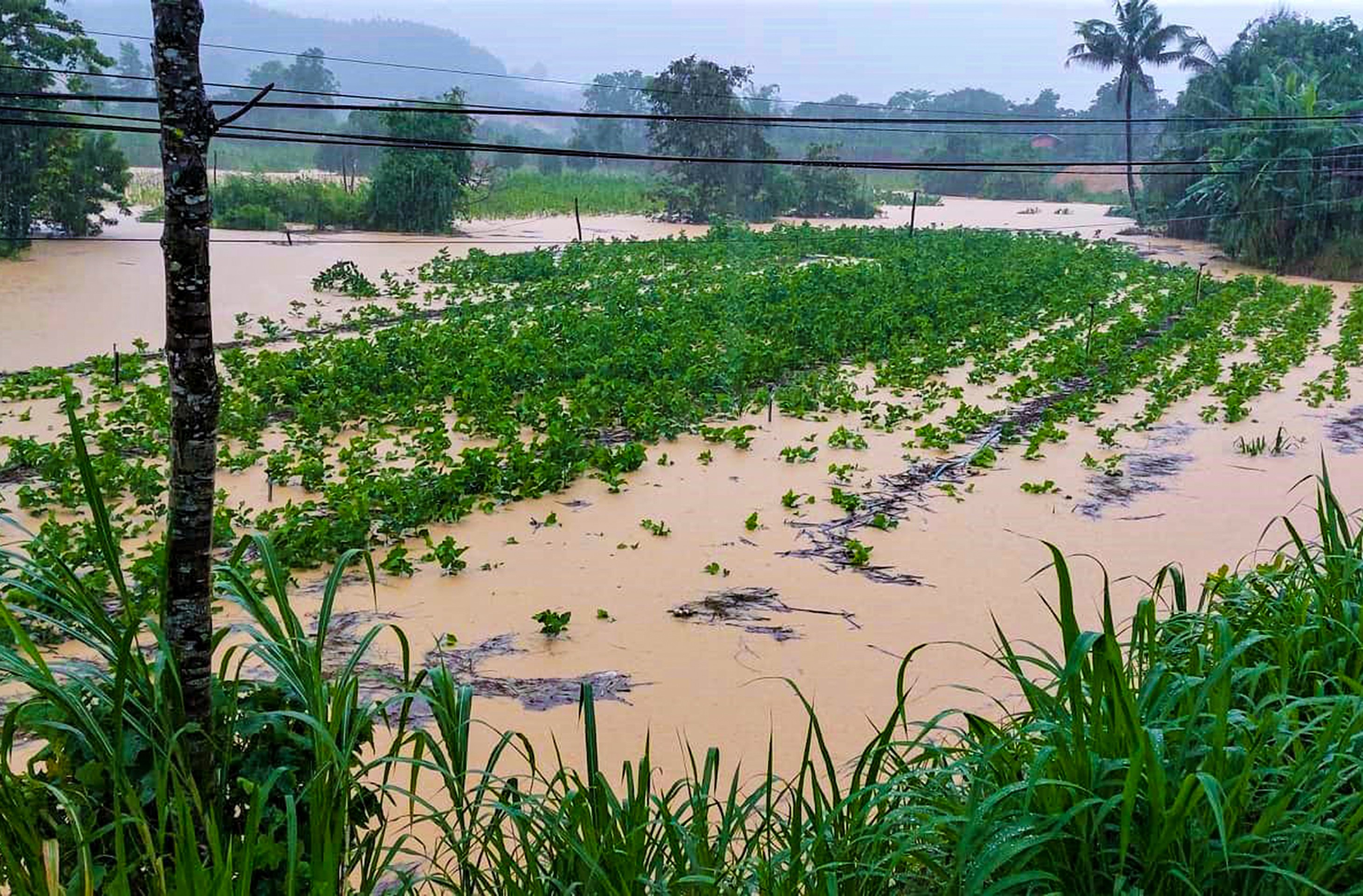 Dân sinh - Lâm Đồng: Mưa lớn bất ngờ, nhiều địa phương ngập sâu (Hình 2).