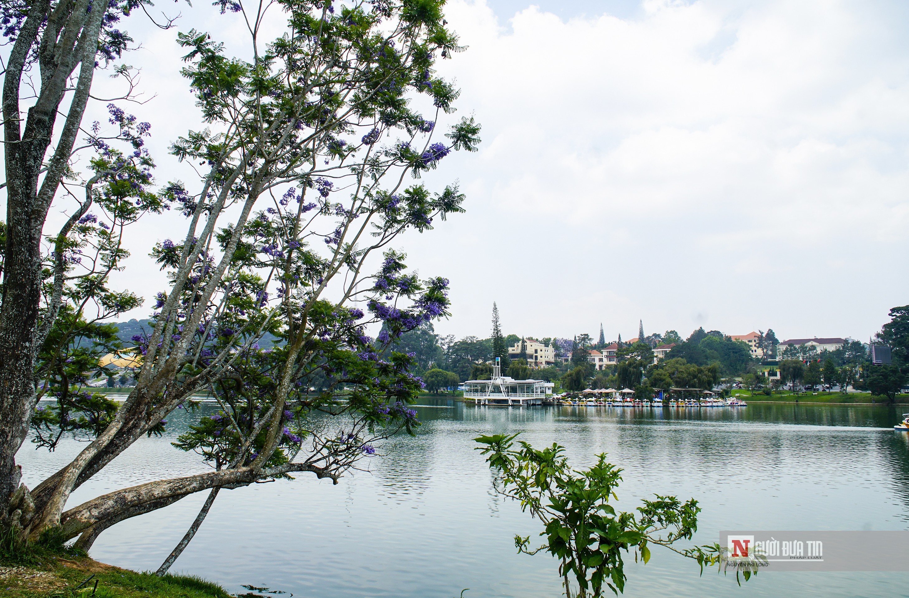 Dân sinh - Yêu cầu di dời phương tiện vi phạm hành lang bảo vệ hồ Xuân Hương (Hình 7).