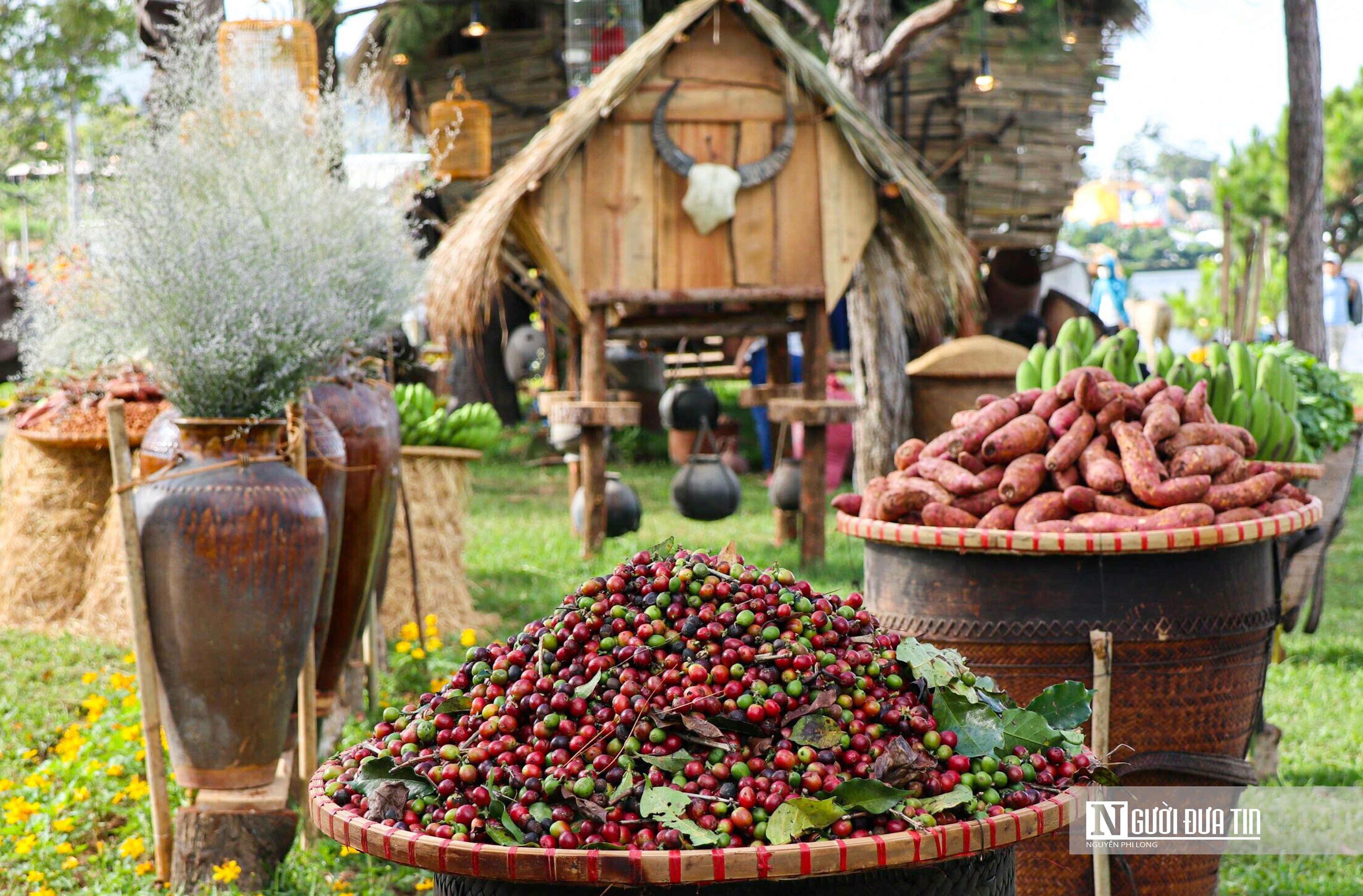 Văn hoá - Độc đáo không gian triển lãm Thiên đường Tây Nguyên bên Hồ Xuân Hương (Hình 9).