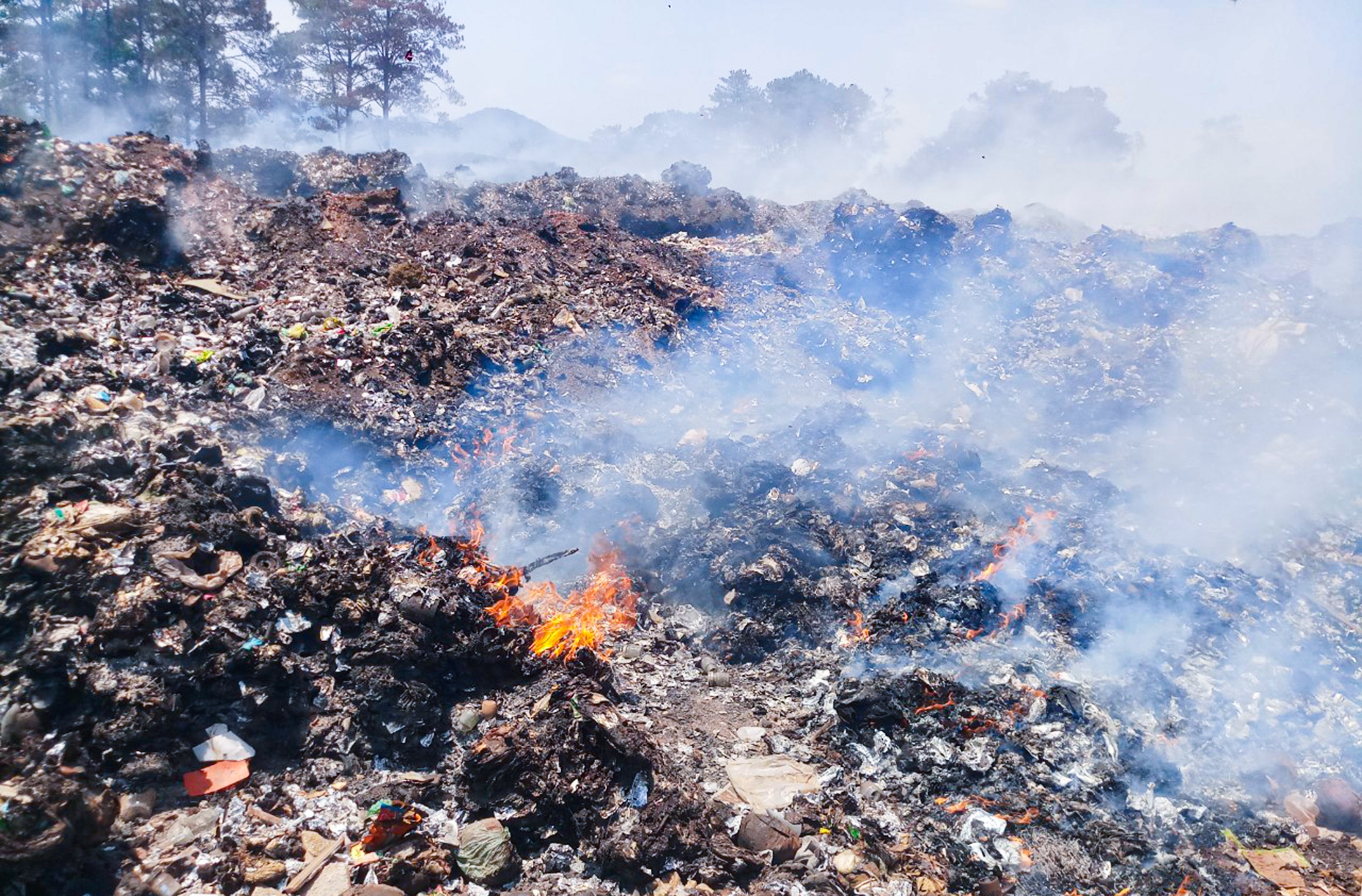 Môi trường - Lâm Đồng: Rừng thông bị đe dọa do cháy bãi rác (Hình 8).