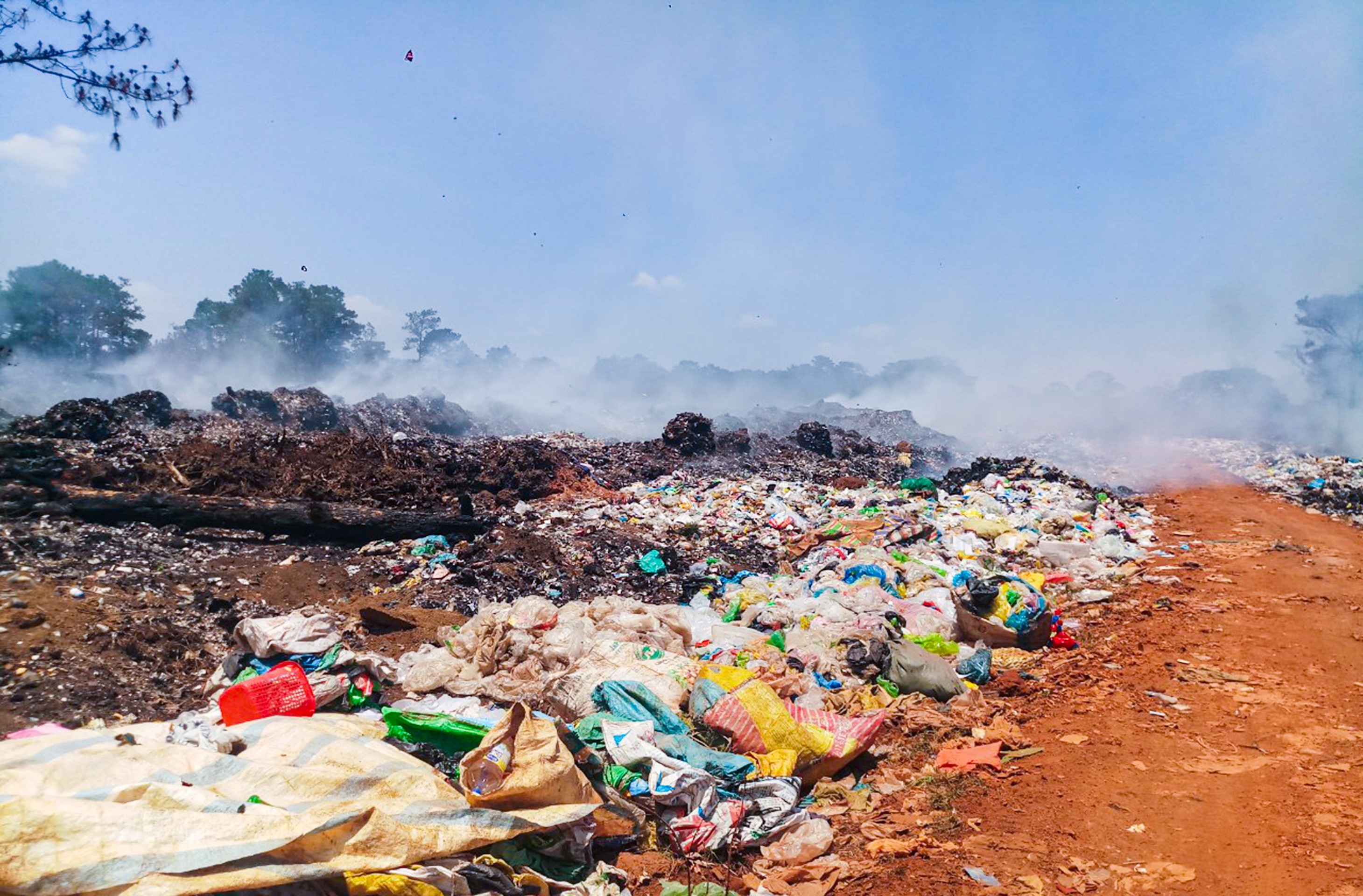 Môi trường - Lâm Đồng: Rừng thông bị đe dọa do cháy bãi rác (Hình 4).