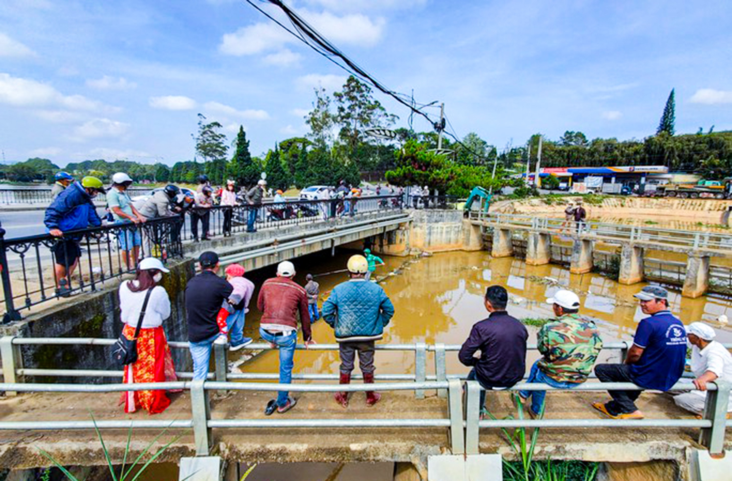 Môi trường - Lâm Đồng: Cá chết hàng loạt trên hồ Xuân Hương