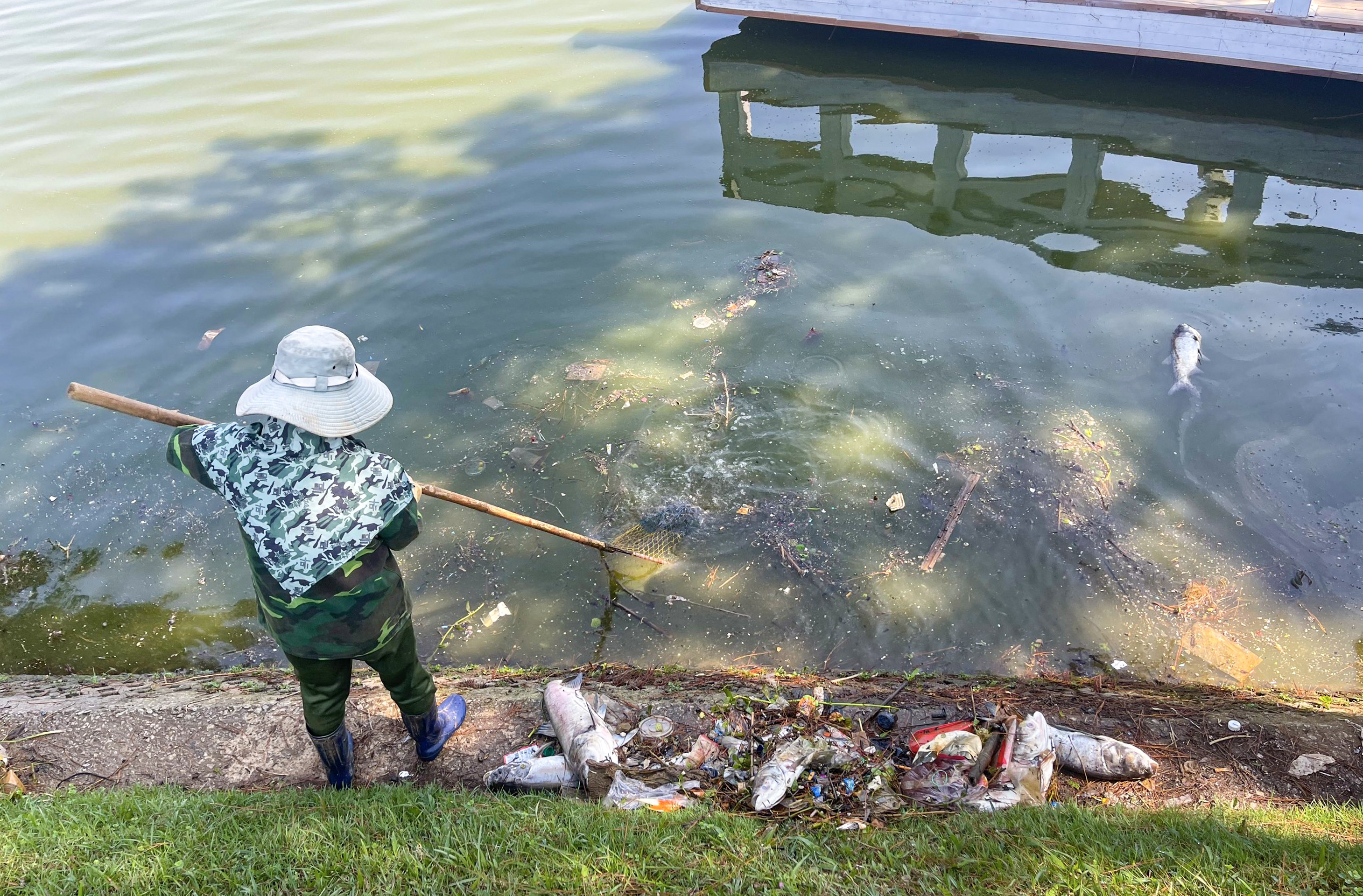 Môi trường - Công nhân môi trường nỗ lực thu gom cá chết trên hồ Xuân Hương (Hình 5).