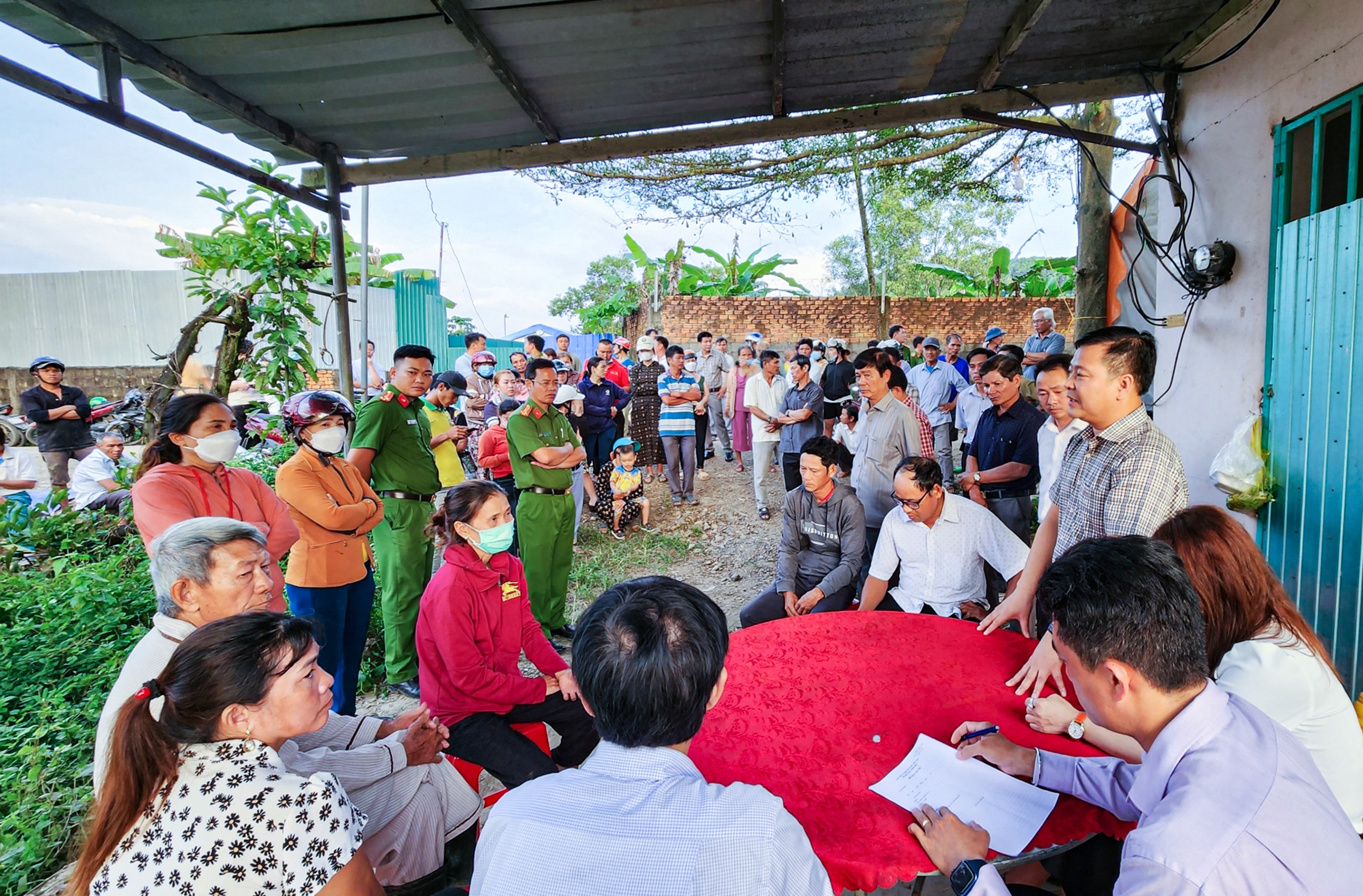 Môi trường - Lâm Đồng: Di dời hơn 8.300 con heo ra khỏi trang trại do ô nhiễm (Hình 3).