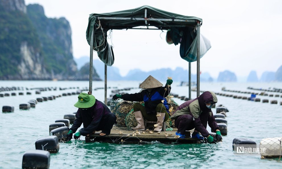 Môi trường - Gắn bảo tồn với phát triển du lịch sinh thái biển