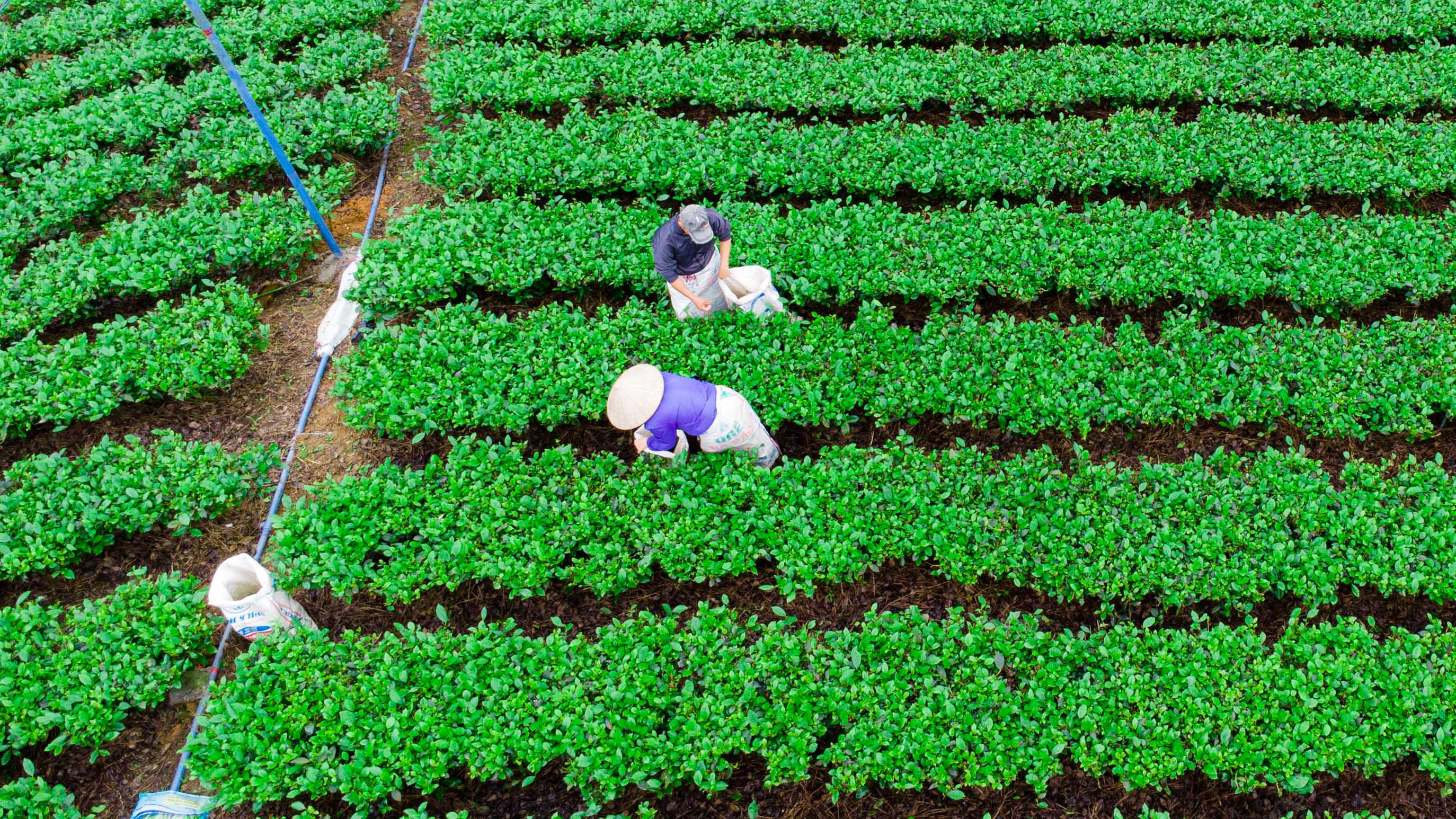 Kinh tế vĩ mô - Bộ trưởng Lê Minh Hoan: DN cần ưu tiên đào tạo, xem đó là trách nhiệm với thế hệ tương lai  (Hình 2).