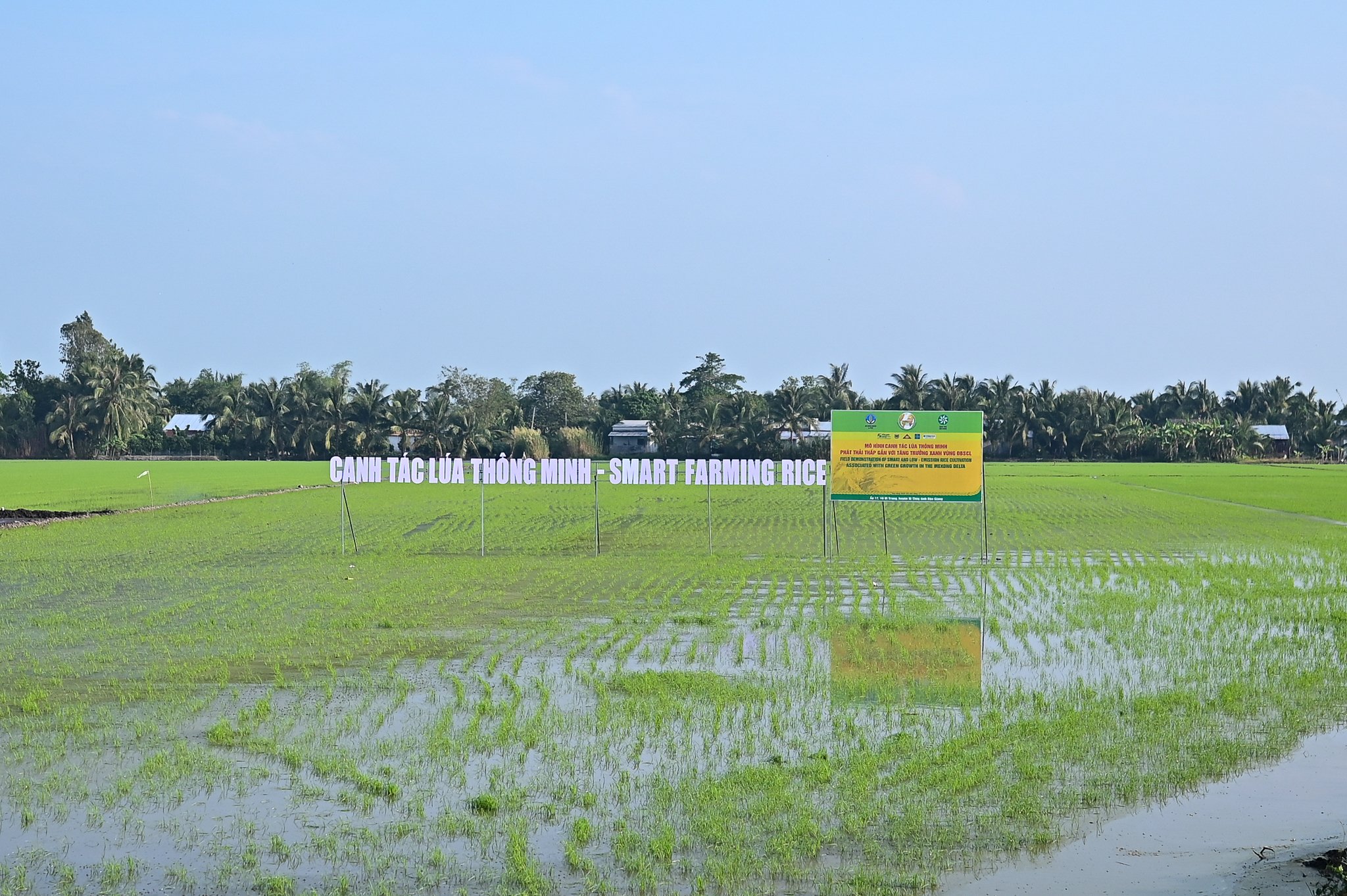 Xu hướng thị trường - “Khó” của ngành lúa gạo: Giá trị chưa cao, thu nhập còn thấp (Hình 3).